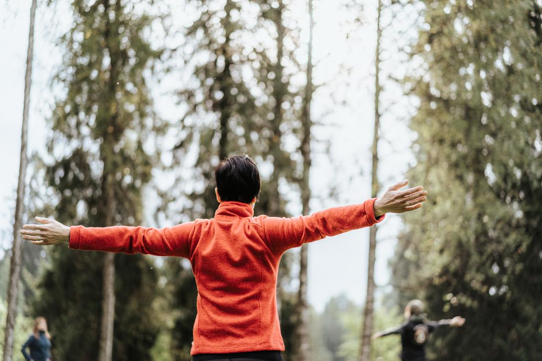 Metsämieliretkeläinen