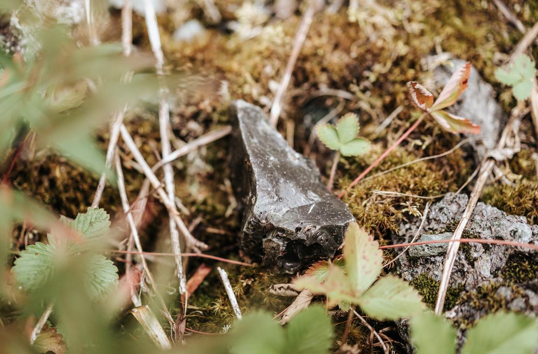 Luonto on täynnä aarteita