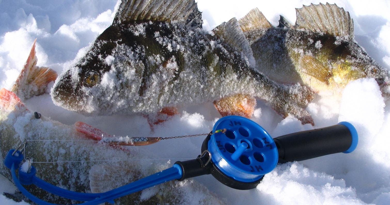 Ahdin antimina isja ahvenia