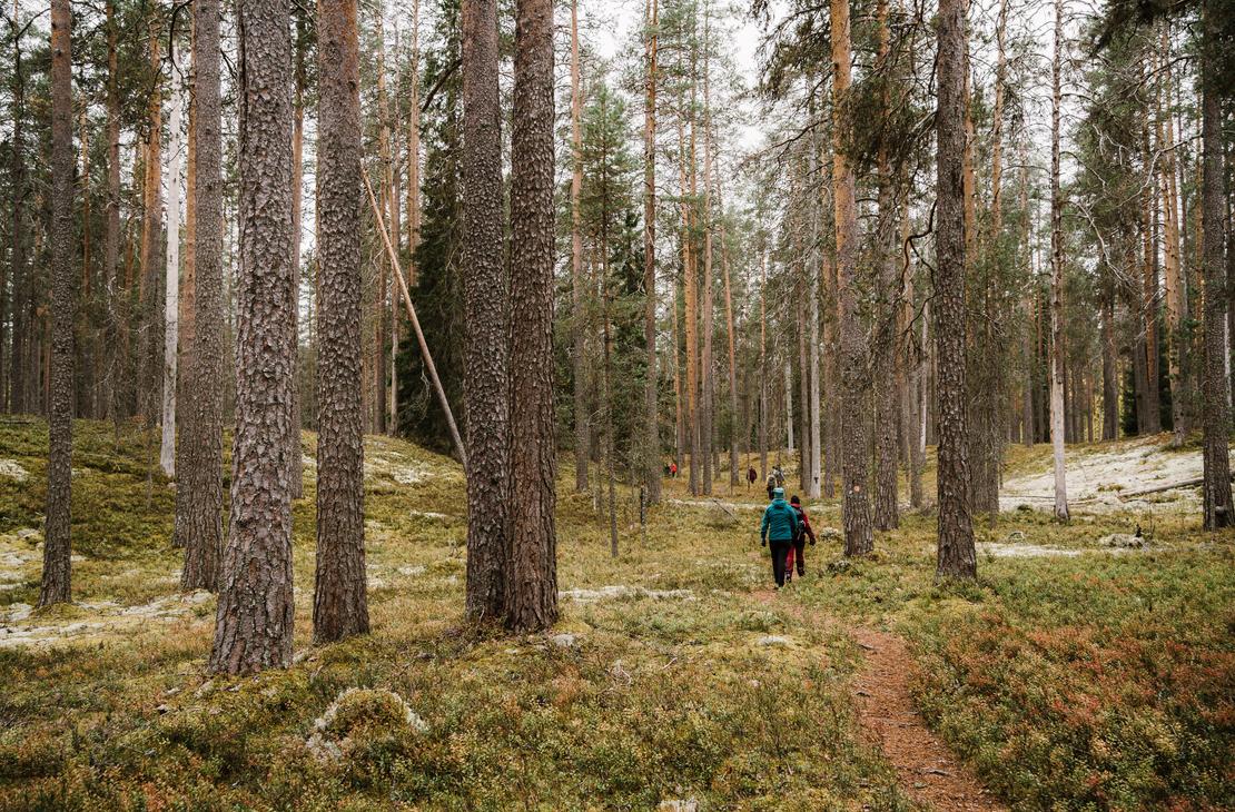 Petkeljärven kansallispuistossa on hienot vaellusmaastot