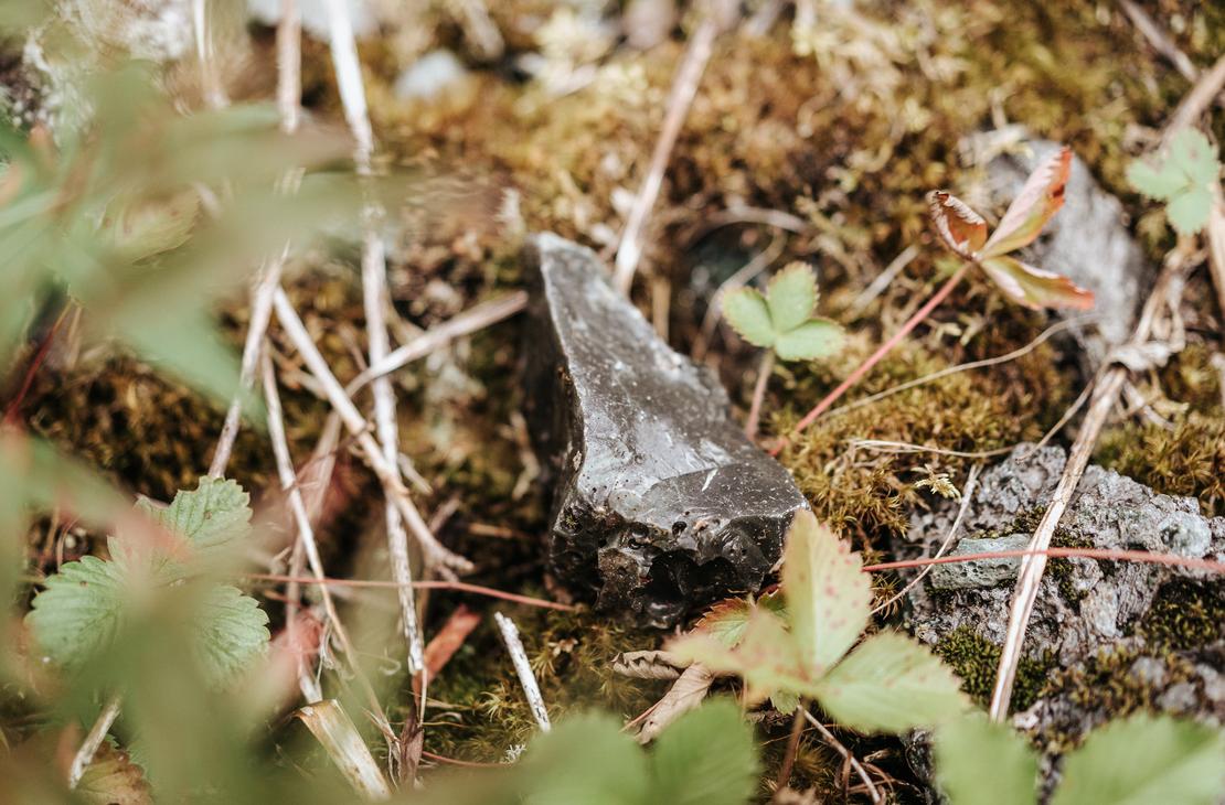 Luonto on täynnä aarteita