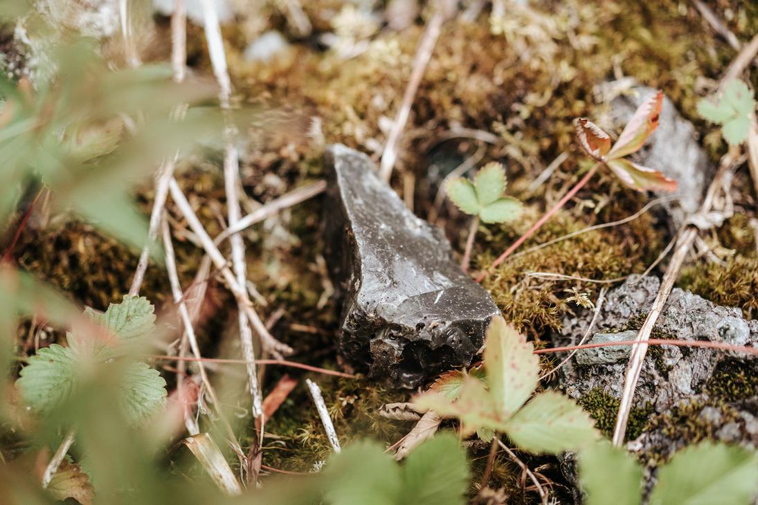 Luonto on t&auml;ynn&auml; aarteita