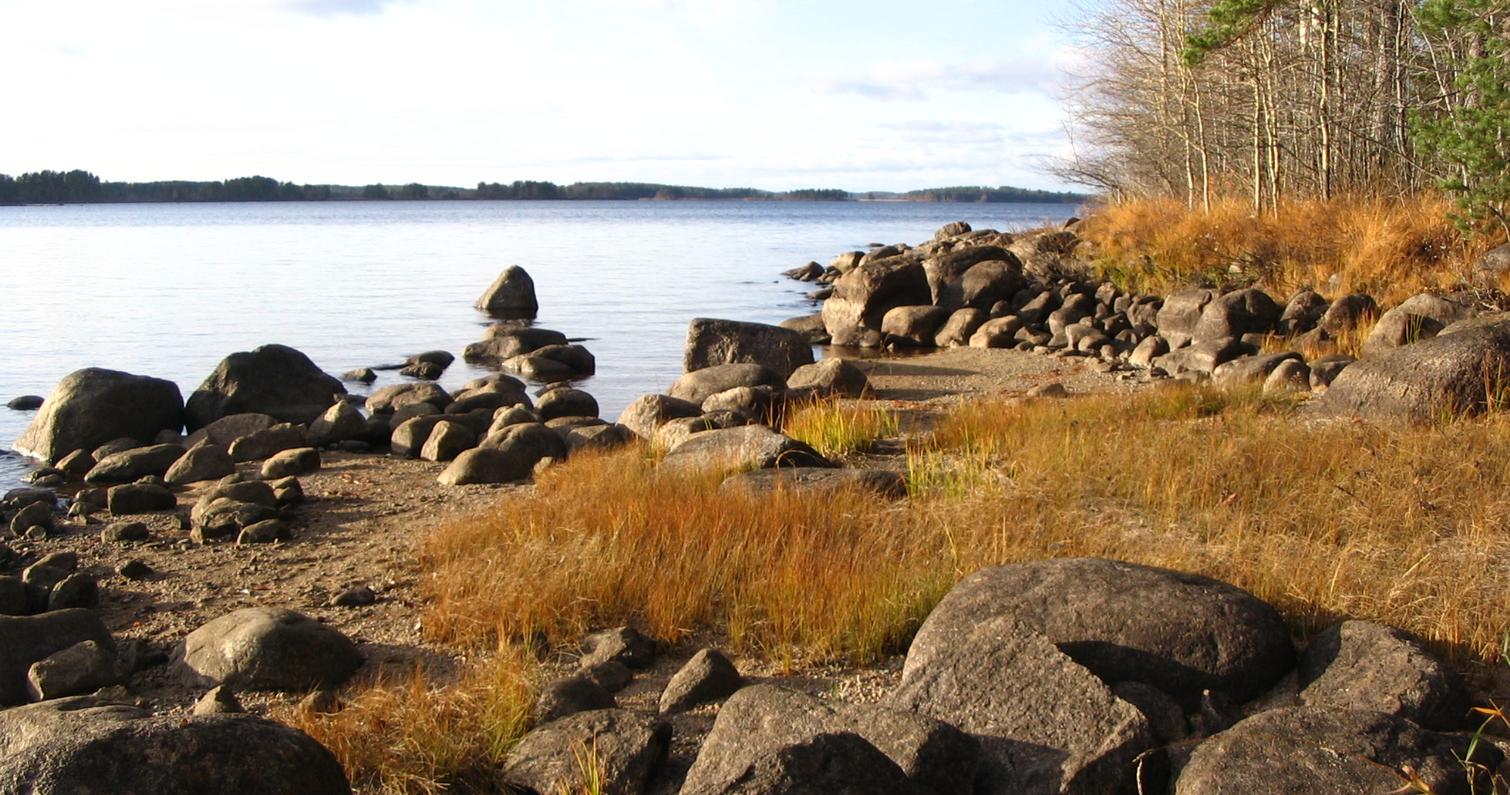 Syksyinen J&auml;nissaari