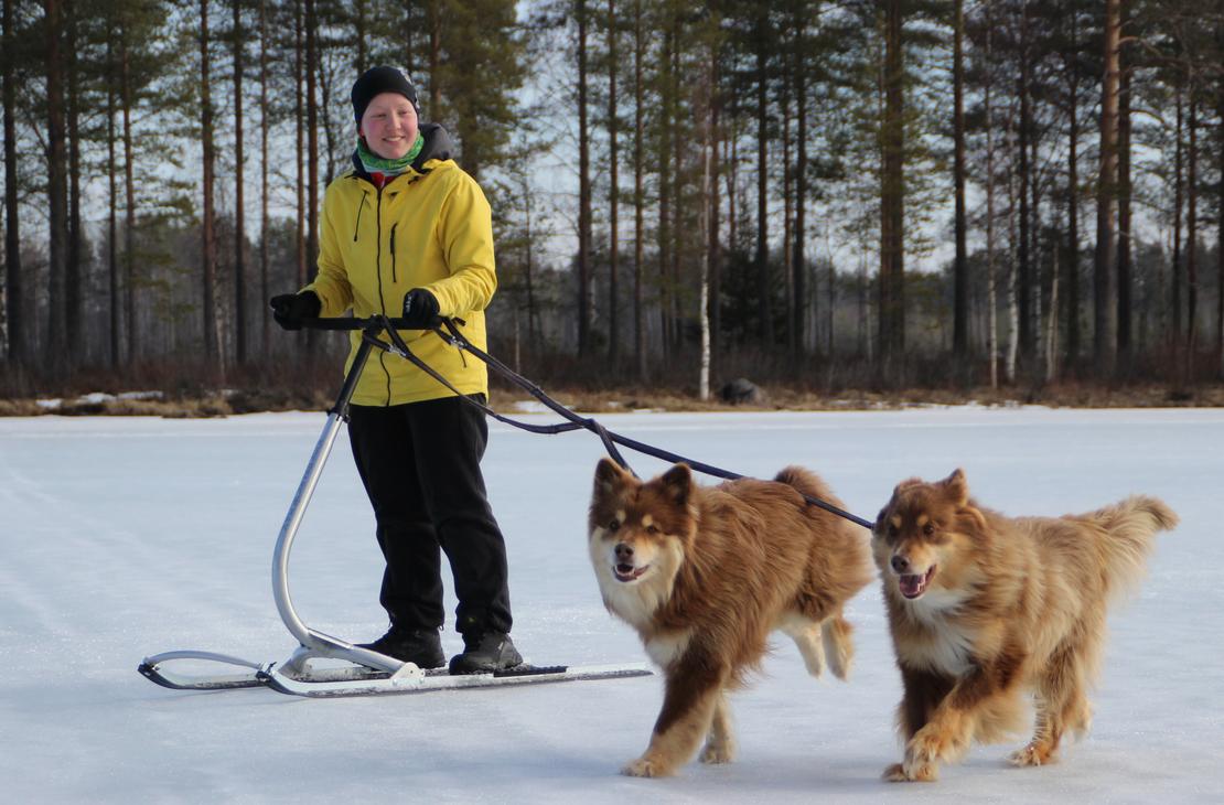 Potkurilla voi lenkitt&auml;&auml; my&ouml;s koiria
