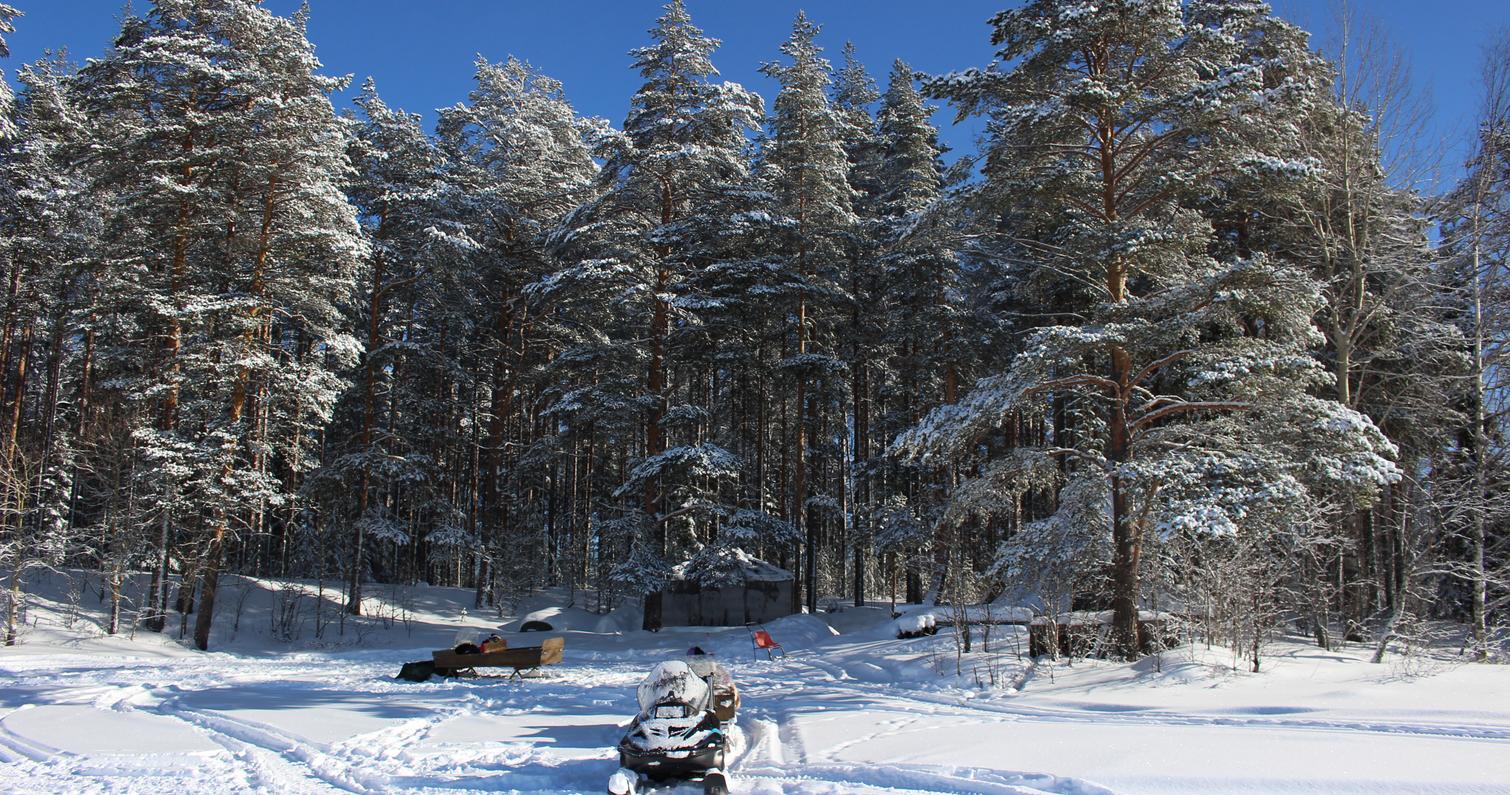 Talvinen J&auml;nissaari 