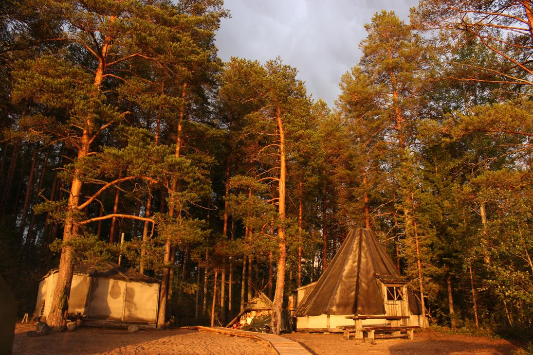 J&auml;nissaaren leiri ilta-auringossa