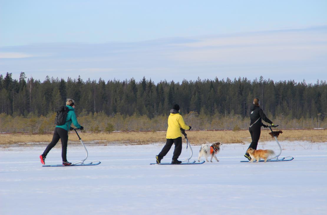 Majoittuessasi voit tehd&auml; my&ouml;s potkuriretken.