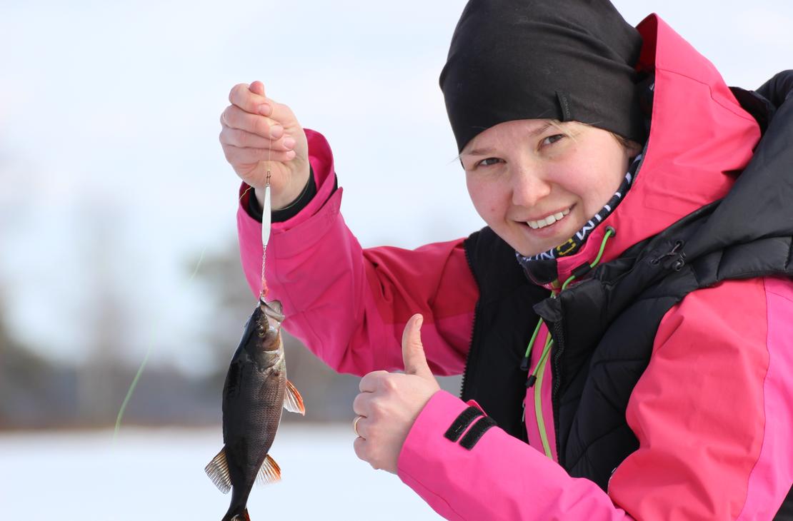 Pilkillä saa hyvällä tuurilla isoja ahvenia.