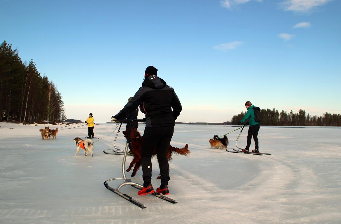 Potkurointia jäällä