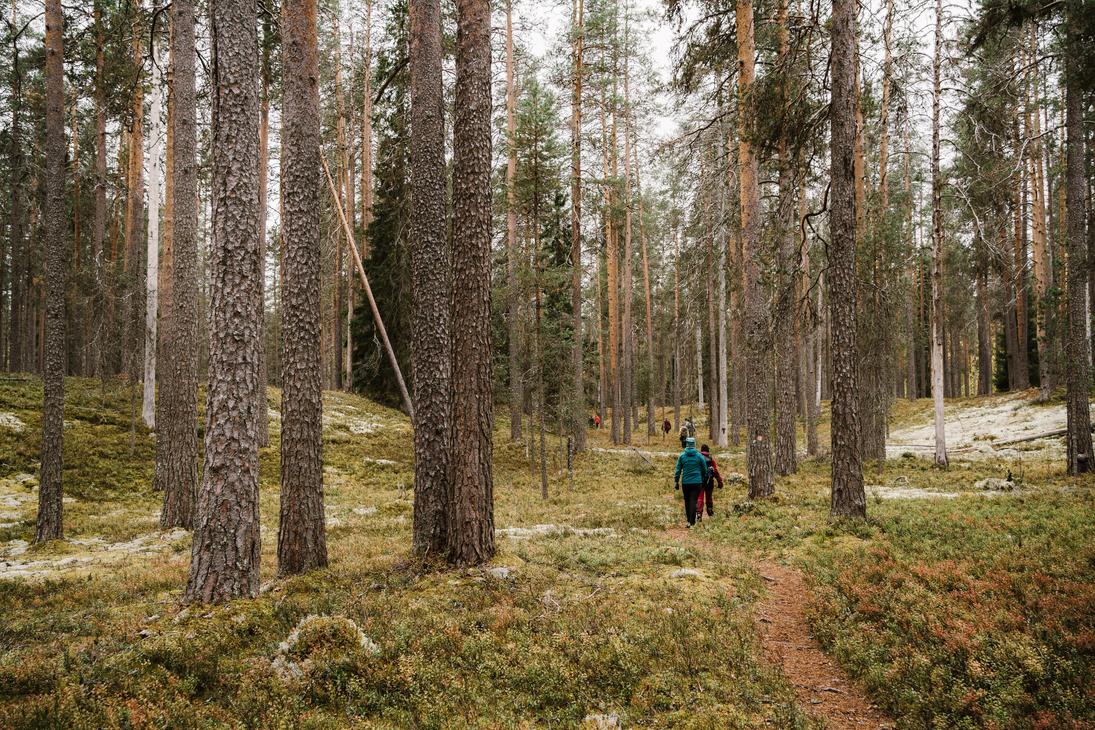 Petkelj&auml;rven kansallispuistossa on hienot vaellusmaastot