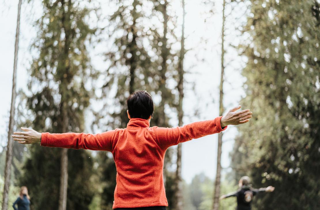 Metsämieliretkeläinen