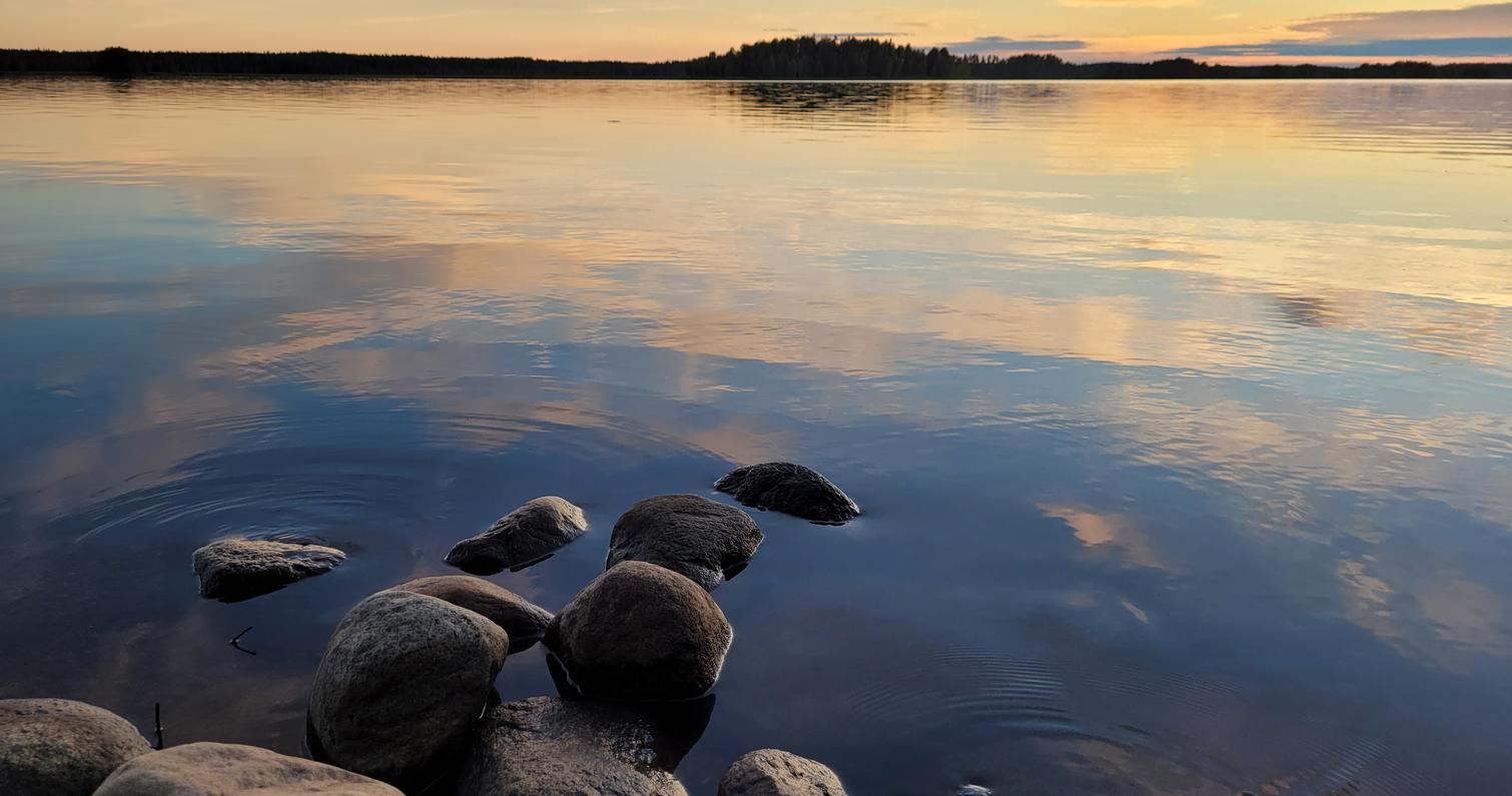 Rantamaisema J&auml;nissaaresta