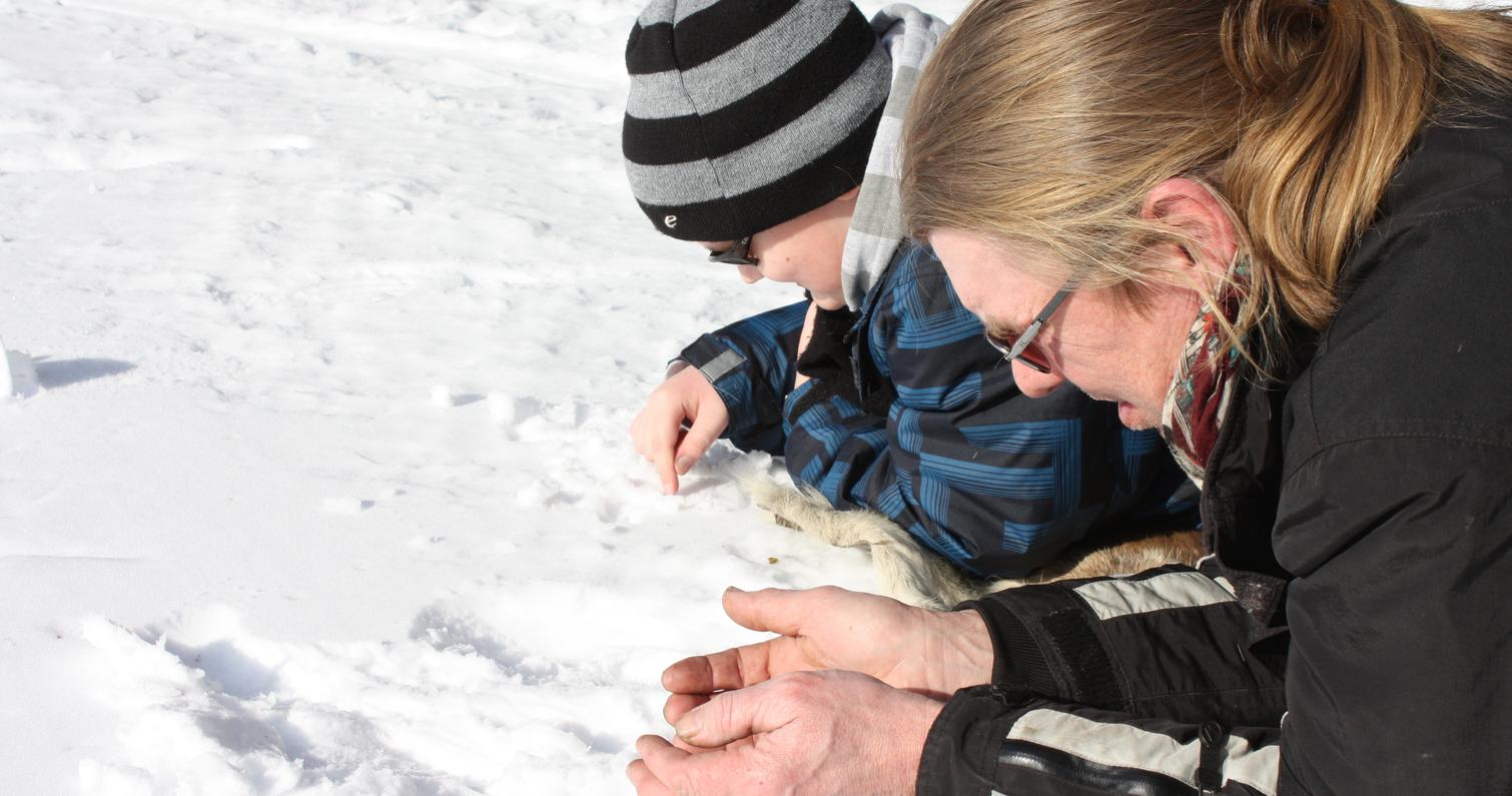 Pilkint&auml;&auml; rennosti porontaljan p&auml;&auml;ll&auml; k&ouml;ll&ouml;tellen