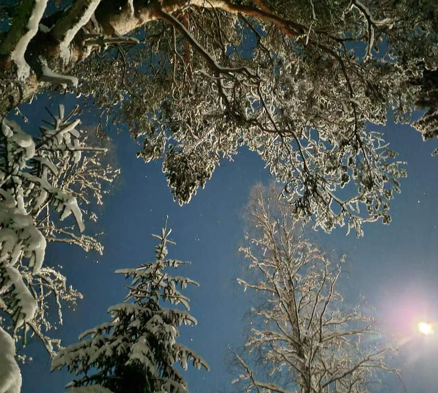 Mantan Majatalon juhlava noutopöytä katettuna monilla herkuilla.