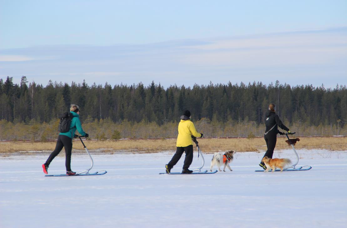 Majoittuessasi voit tehdä myös potkuriretken.