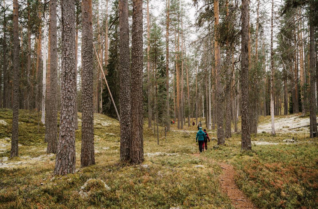 Petkeljärven kansallispuistossa on hienot vaellusmaastot