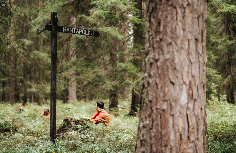 Metsämieli retkeläiset harjoituksissaan