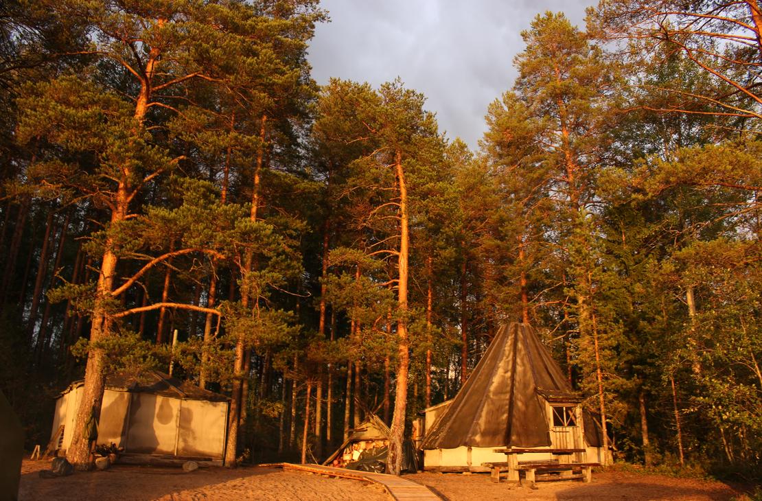 J&auml;nissaaren leiri ilta-auringossa
