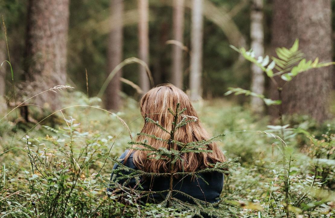 metsän sylissä